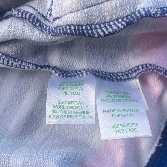 Lilly Pulitzer Blue and Pink Striped Hoodie - Picture 9 of 9